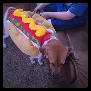Hot dog costume